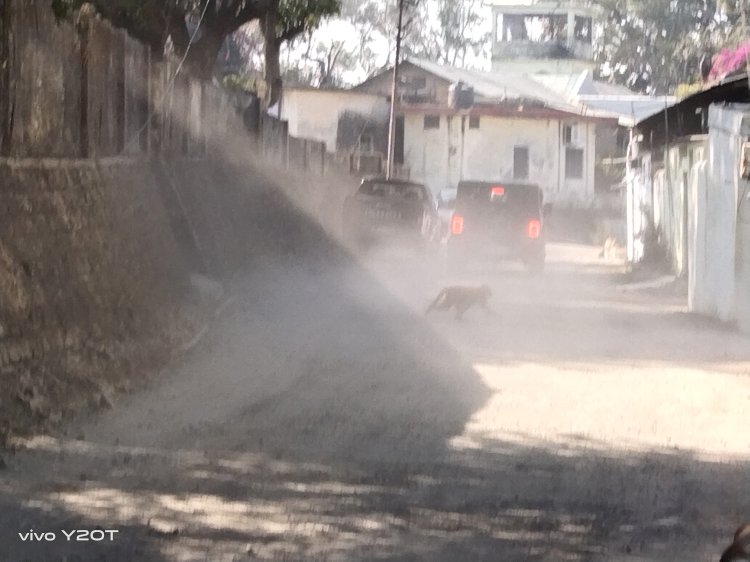 नाहन: विकास के नाम पर धूल उड़ रही है इस वीआईपी रोड़ पर, टारिंग के लिए तापमान बढ़ने की इंतजार में   पीडब्ल्यूडी...