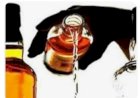 नाहन: 10 लीटर अवैध शराब पकड़ी पुलिस ने धरे 2 आरोपी...