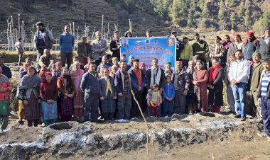 चौहार घाटी के धमच्याण और बड़ी बजगाण क्लस्टर में पौधारोपण अभियान एवं प्रशिक्षण शिविर का आयोजन