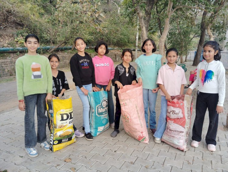 नाहन: पेंथर्स क्लब के नन्हे सदस्यों ने ऐतिहासिक विला राउन्ड में सफाई की..