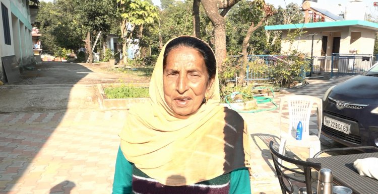 रिटायर्ड टीचर शीला देवी ने प्राकृतिक खेती से उगाया कई क्विंटल आलू