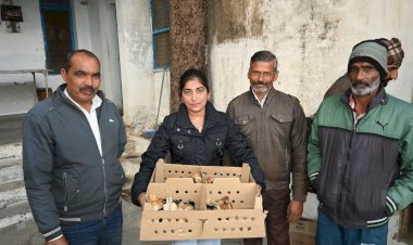 नाहन : घर बैठे रोजगार का सशक्त माध्यम बनी प्रदेश सरकार की बैकयार्ड पोल्ट्री स्कीम