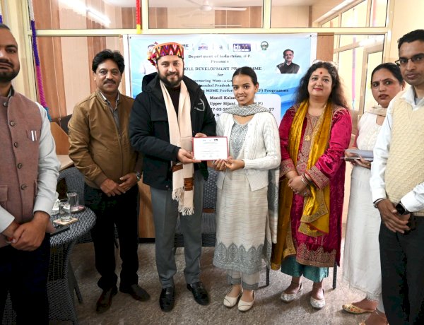 मंडी कलम शिल्प पर आयोजित कार्यशाला संपन्न, उपायुक्त ने प्रतिभागियों को किया सम्मानित