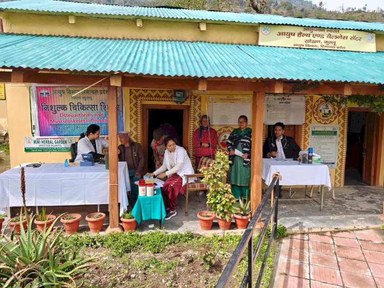 आयुष विभाग ने खोखन में जांचा लोगों का स्वास्थ्य