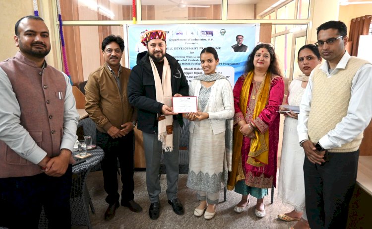 मंडी कलम शिल्प पर आयोजित कार्यशाला संपन्न, उपायुक्त ने प्रतिभागियों को किया सम्मानित