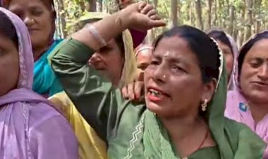 नाहन : नारीवाला-जम्बू खाले पर 100 पेड़ों के कटान पर ग्रामीणों का गुस्सा, महिलाओं ने पेड़ों से लिपटकर रोका कटान