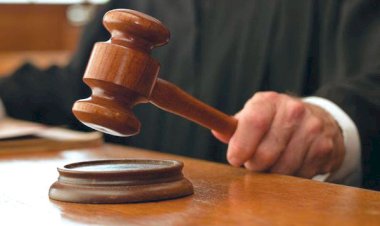 शिमला: राज्यसभा चुनाव याचिका में हर्ष महाजन को बड़ी राहत—अभिषेक मनु सिंघवी की अर्जी खारिज