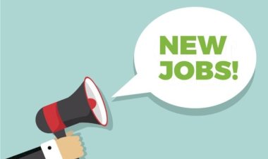 भोरंज में फील्ड ऑफिसर के 22 पदों के लिए साक्षात्कार 18 को