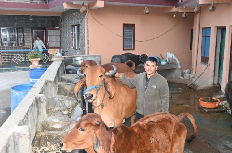 प्राकृतिक खेती से बदली धमथल जुखाला के किसान रवि दत्त की जिंदगी