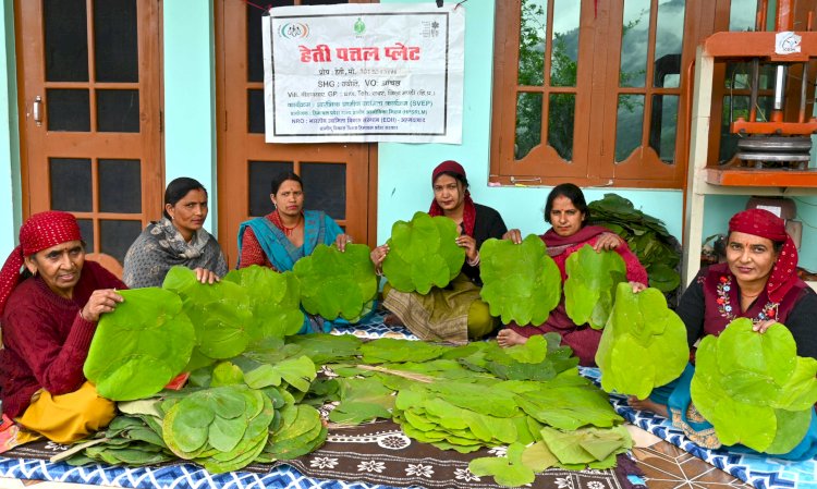 ज्योति स्वयं सहायता समूह बिहनधार की महिलाएं बनी स्वाबलंबी, समूह की हेती देवी पत्तल के काम से महीने का कमा रही दस हजार 