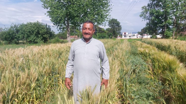 प्राकृतिक खेती को बड़े पैमाने पर बढ़ावा दे रही सुक्खू सरकार, एमएसपी बढ़ने से किसानों में बढ़ा भरोसा