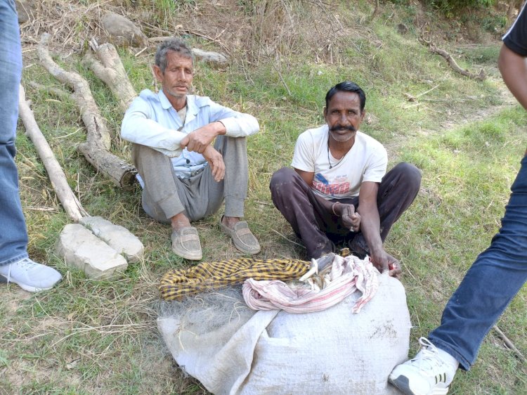 गोविंद सागर एवं कोलडैम जलाशयों में मत्स्य विभाग का विशेष निरीक्षण अभियान
