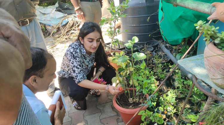 प्रगतिशील किसान के घर एवं खेतों में पहुंची डीसी गंधर्वा राठौड़