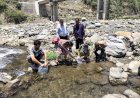 उहल नदी में महाशीर मछली के 5 हजार बड़े आकार के बीज का संचयन