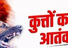 रेबीज से प्रवासी व्यक्ति की मौत : स्वास्थ्य विभाग ने उठाए ऐहतियाती कदम….