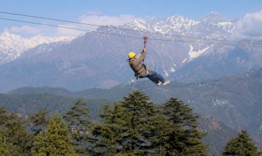 इको-एडवेंचर जिपलाइन ने धर्मशाला पर्यटन में भरा नया रोमांच