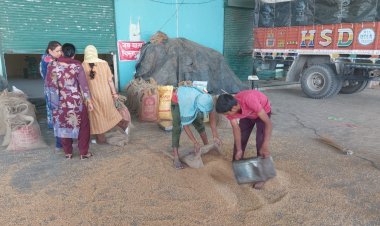 प्राकृतिक खेती को मिला 'गारंटी का बाजार', हिमाचल में बढ़ रहा किसानों का भरोसा ऊना बना सकारात्मक बदलाव का उदाहरण, तीन वर्षों में 9,393 किसानों ने अपनाई प्राकृतिक खेती