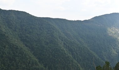 वन संरक्षण से पारिस्थितिक संतुलन एवं समावेशी विकास की दिशा में प्रतिबद्ध ‘सुक्खू सरकार’ ·         वर्ष 2024-25 में वन विभाग ने अर्जित की 7.43 करोड़ रुपए की आय