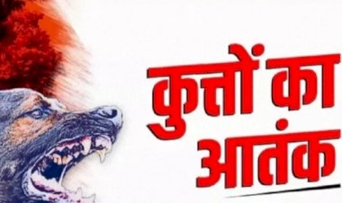 रेबीज से प्रवासी व्यक्ति की मौत : स्वास्थ्य विभाग ने उठाए ऐहतियाती कदम….