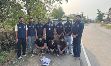 स्पेशल टास्क फोर्स ने नूरपुर के जसूर में 223 ग्राम चिट्टा बरामद किया.....तीन आरोपी गिरफ्तार