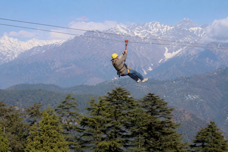 इको-एडवेंचर जिपलाइन ने धर्मशाला पर्यटन में भरा नया रोमांच