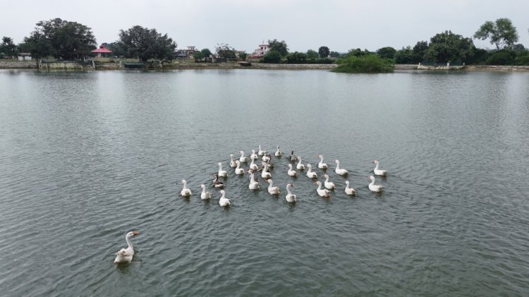 हिमाचल में जल संरक्षण का नया मॉडल बन रहे हरोली के तालाब