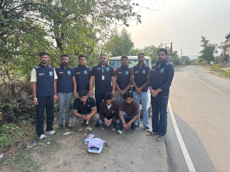 स्पेशल टास्क फोर्स ने नूरपुर के जसूर में 223 ग्राम चिट्टा बरामद किया.....तीन आरोपी गिरफ्तार