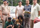 नाहन: यशवंत विहार निवासी  दो युवकों से 11.85 चिट्टा पकड़ा, आरोपी तस्कर 3 दिन के पुलिस रिमांड में...