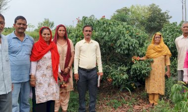 सफलता की कहानी…… लीची के बागों से महकने लगी बिलासपुर के लंझता गांव की धरती 13.5 हेक्टेयर क्षेत्र में 54 किसानों ने रोपित किये हैं दस हजार से अधिक लीची के पौधे….