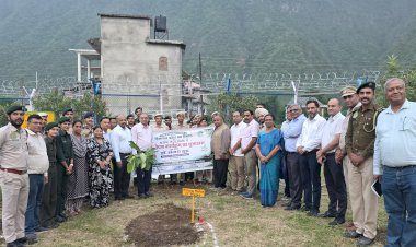 एनटीपीसी कोलडैम परिसर में पौधरोपण कर वन संरक्षण का लिया संकल्प अक्स न्यूज लाइन