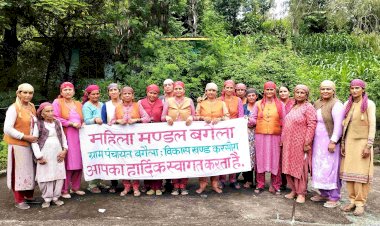 राजीव गांधी वन संवर्धन योजना से महिला व युवक मंडलों को मिला हरित भविष्य संवारने का दायित्व, पर्यावरण संरक्षण के साथ ही आजीविका के भी खुल रहे नए द्वार