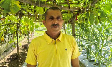 सफलता की कहानी....  प्राकृतिक खेती से बदली सुनील कुमार की तकदीर: खनोट गांव के प्रगतिशील किसान दो बीघा भूमि से कमा रहे सालाना डेढ़ से दो लाख रुपये