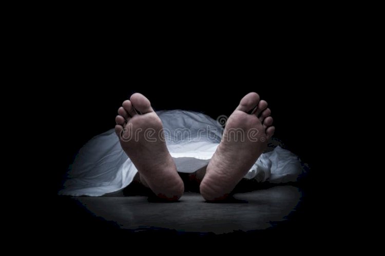 नाहन: बिजली के पोल पर चढ़े मजदूर को करंट लगने मौत, ठेकेदार के खिलाफ एफआईआर दर्ज...