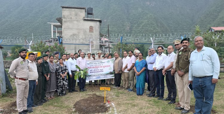 एनटीपीसी कोलडैम परिसर में पौधरोपण कर वन संरक्षण का लिया संकल्प अक्स न्यूज लाइन