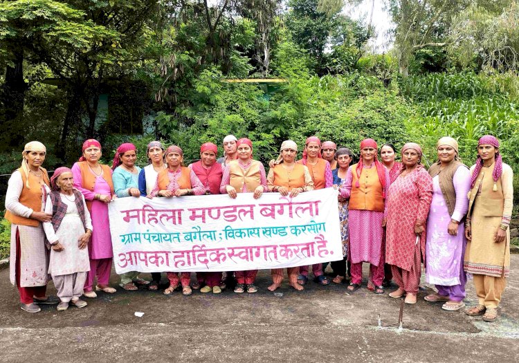 राजीव गांधी वन संवर्धन योजना से महिला व युवक मंडलों को मिला हरित भविष्य संवारने का दायित्व, पर्यावरण संरक्षण के साथ ही आजीविका के भी खुल रहे नए द्वार