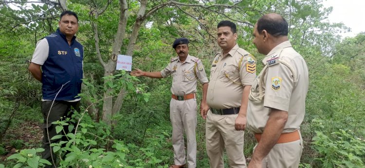 एंटी-चिट्टा अभियान : प्रदेश के 573 स्थानों पर चलाया गया गहन तलाशी अभियान...1774 वाहनों की तलाशी ली