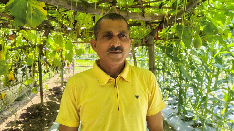 सफलता की कहानी....  प्राकृतिक खेती से बदली सुनील कुमार की तकदीर: खनोट गांव के प्रगतिशील किसान दो बीघा भूमि से कमा रहे सालाना डेढ़ से दो लाख रुपये